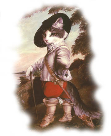 Catz 18